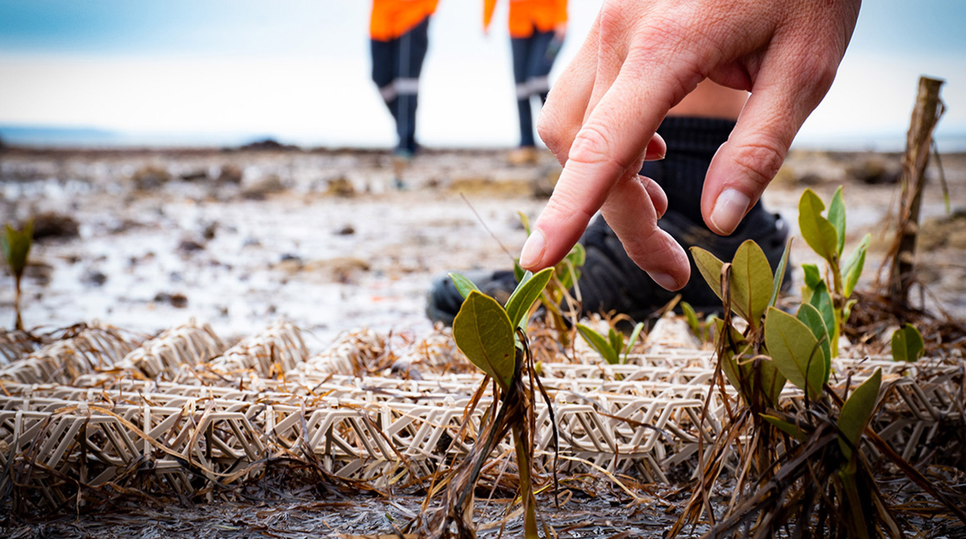 Beach Energy's Strategic Initiatives Enhance Sustainability