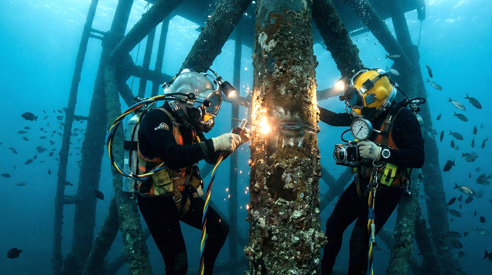 Underwater Guardians: The Critical Role of Divers in Aramco's Offshore Operations